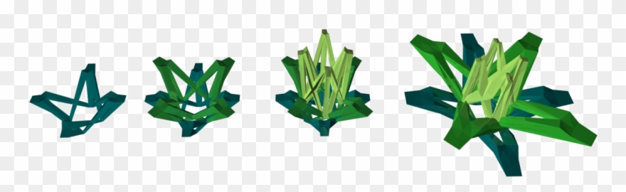 Experimentation On Fireweed Branching Logics - Lily Family Clipart