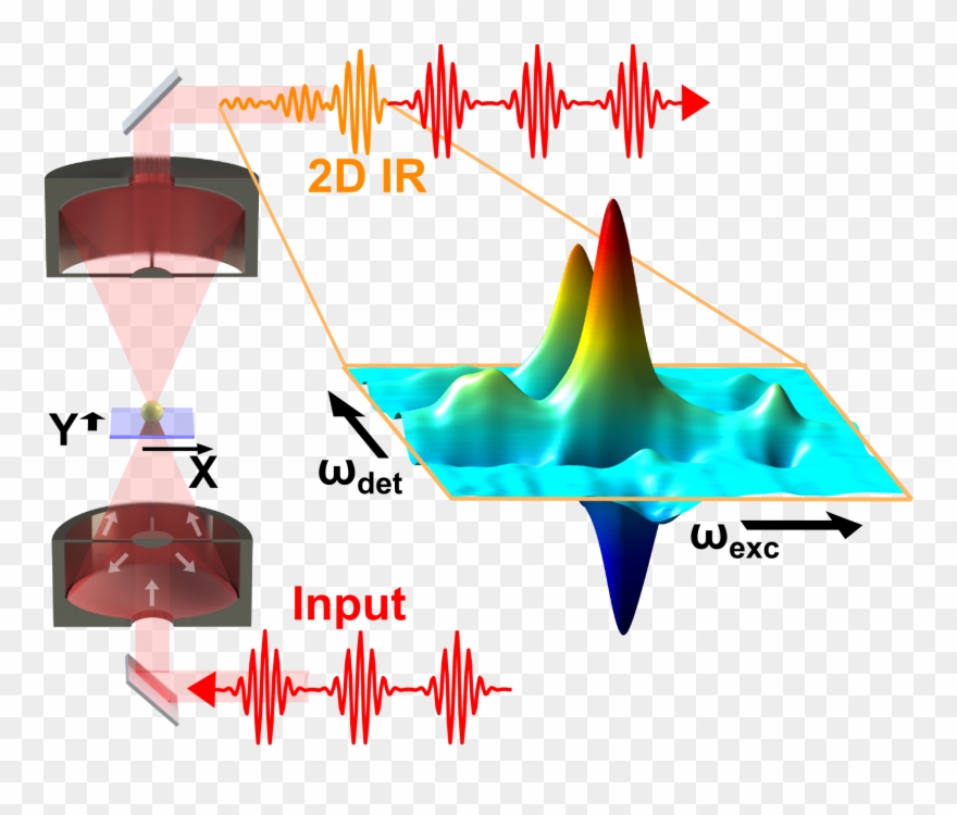 Transient 2d Ir Spectroscopy - 2d Ir Clipart