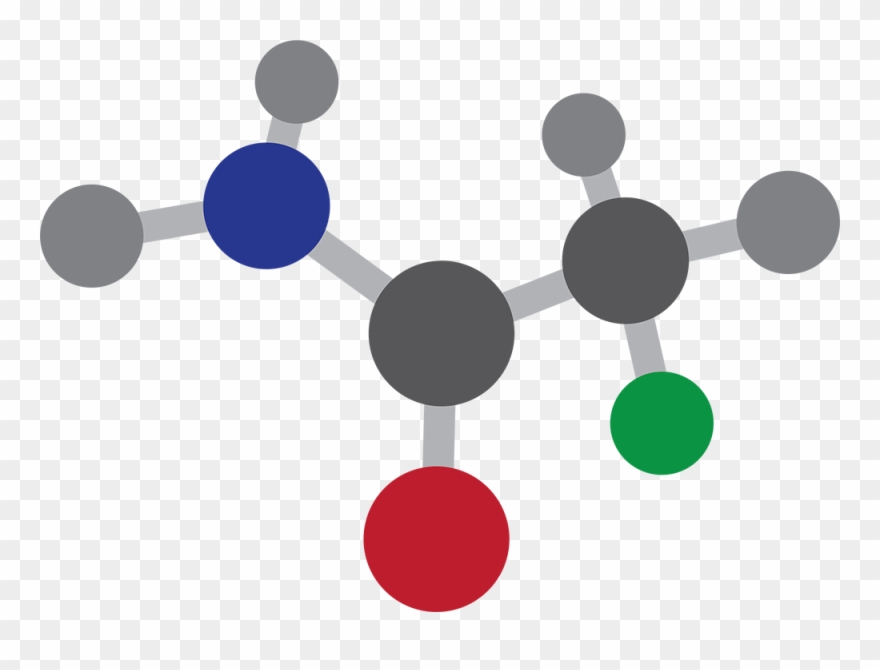 Bioinformatics - Circle Clipart