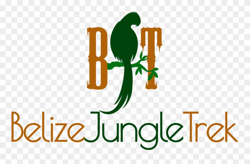 Belize Jungle Trek - Illustration Clipart