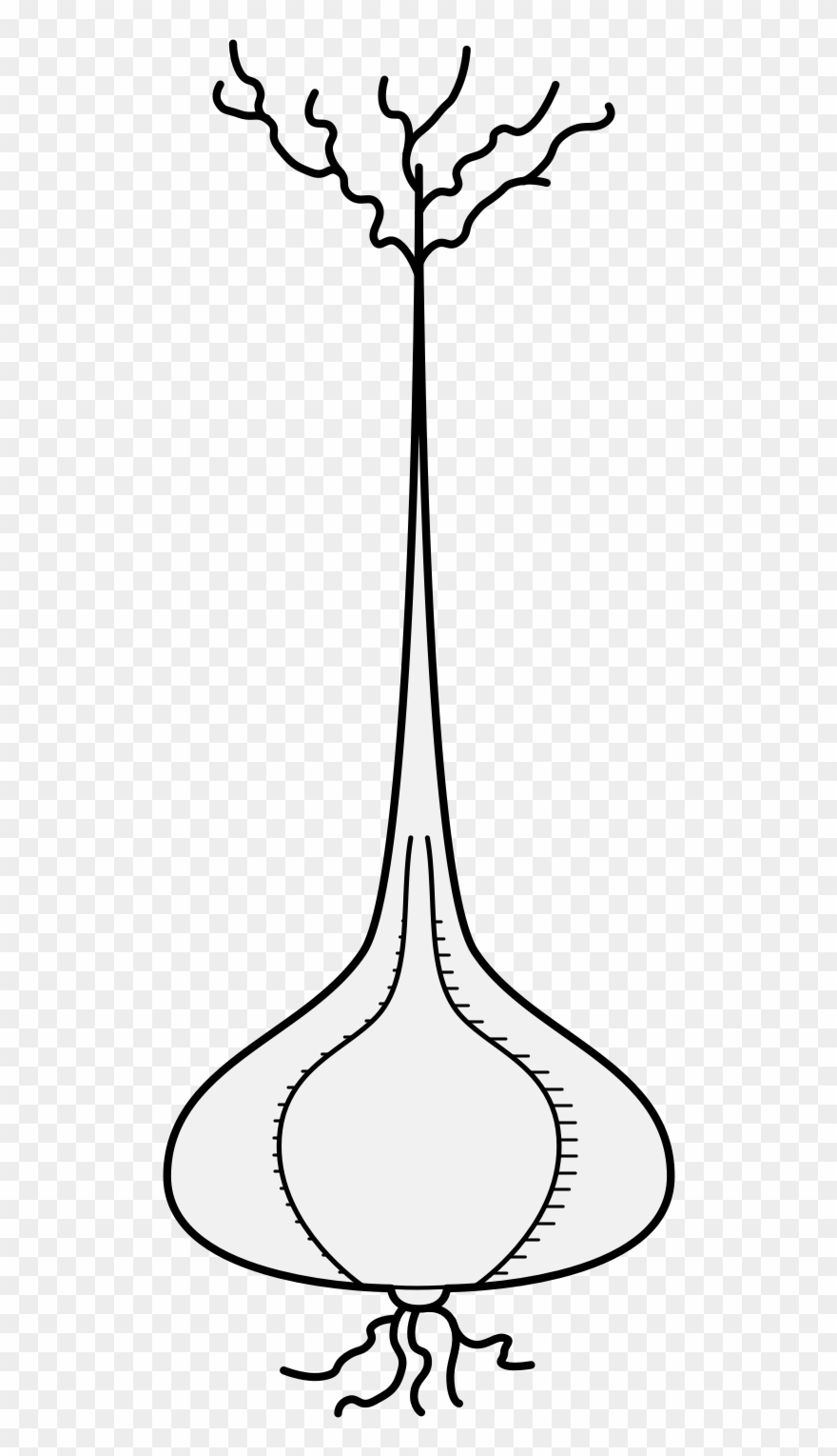 Png - - Line Art Clipart
