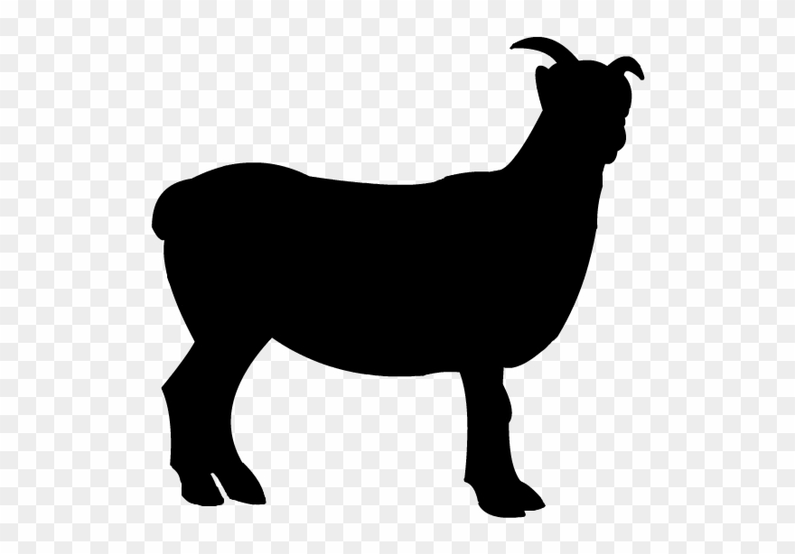 Ewe Clip Art - Silhouette Kambing - Png Download