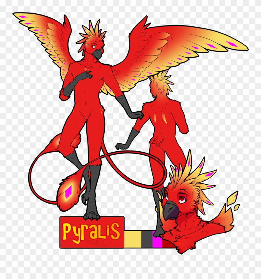 Kurokotsu Ref Sheet - Cartoon Clipart