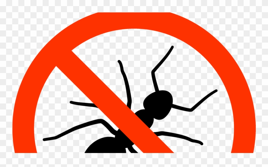 Ants - - - Ant Clipart