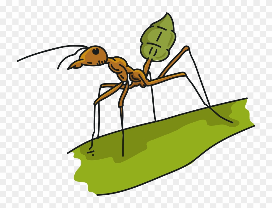 Sauna Clipart Ant - Png Download