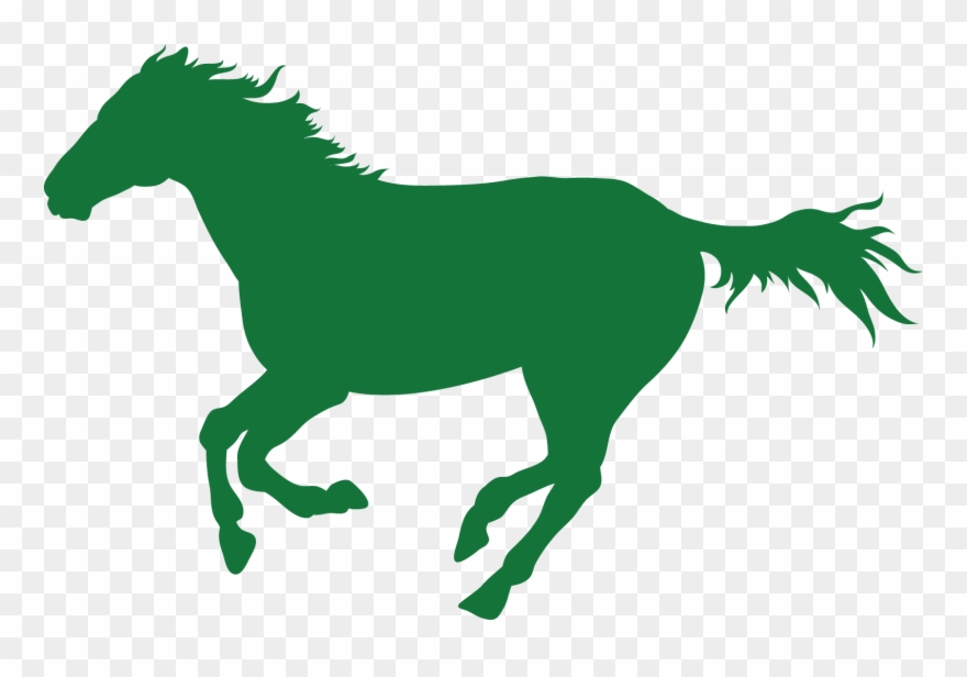 Campaign Winner Of 4 Races In San Isidro And La Plata - Jumping Horse Clipart