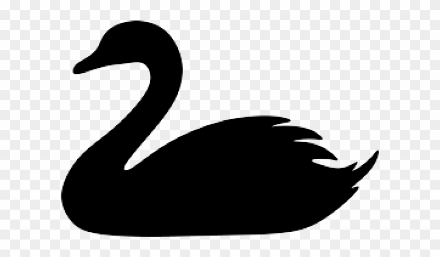 Swan Clipart Swan Head - Duck - Png Download