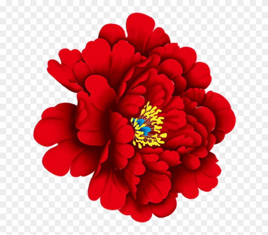 Zinnea Clipart Flower Gif - Peony Red Flower - Png Download