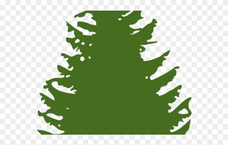 Fir Tree Clipart Coniferous Tree - Pine Trees Clip Art Free - Png Download