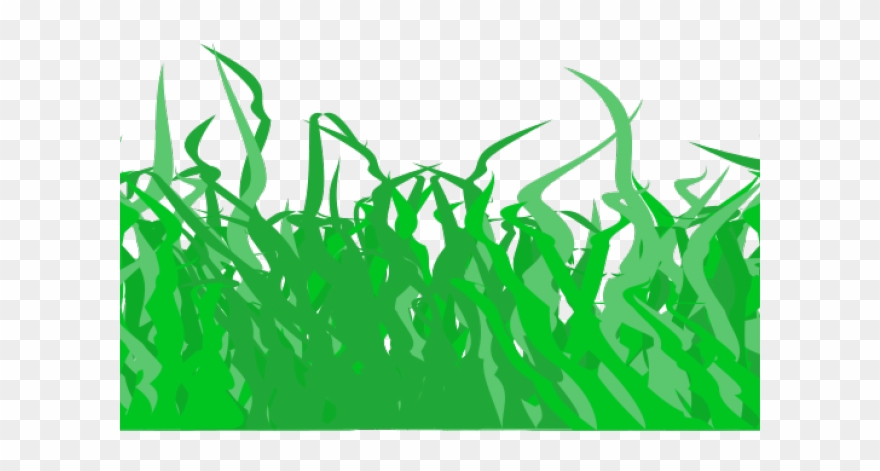 Lawn Clipart Divider - Illustration - Png Download