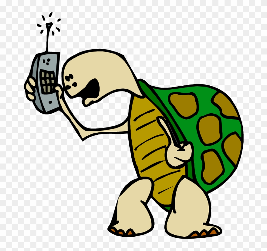 Talkative-turtle - Clipart