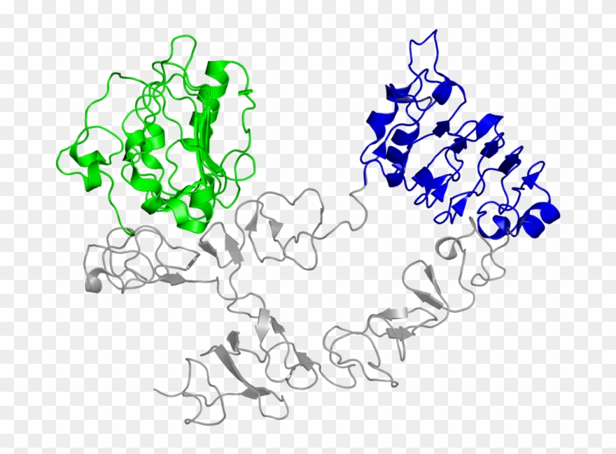 <div Class='caption-body'>2 Copies Of Cath Domain Clipart