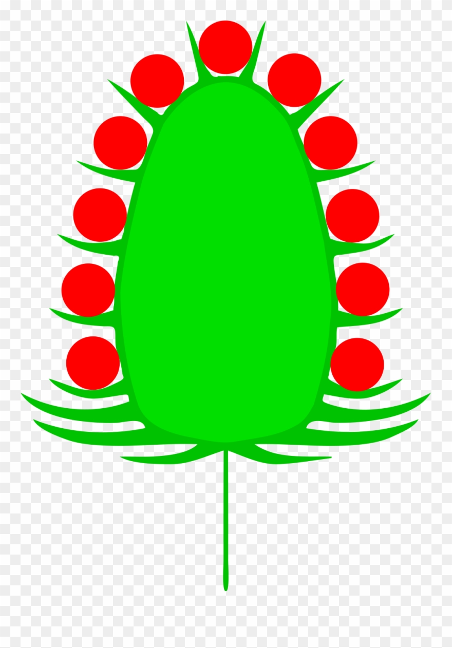 Inflorescence Heads Clipart