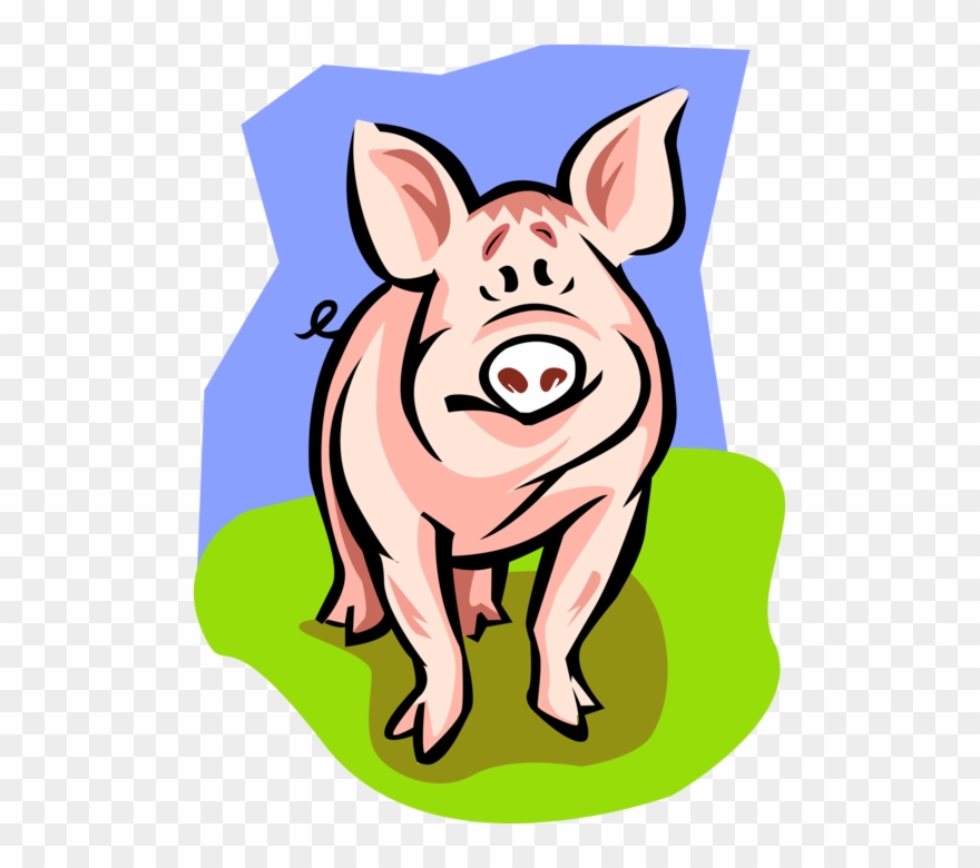 531 X 700 5 - Pig Clipart