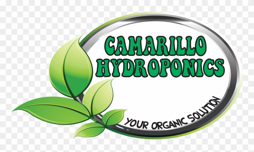 Logo And Name Clipart