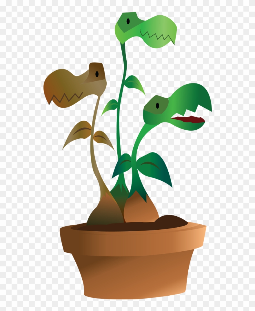 Plantecarnivore - Flowerpot Clipart