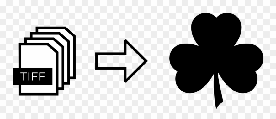 Importing Datasets Into Webknossos - Shamrock Clipart