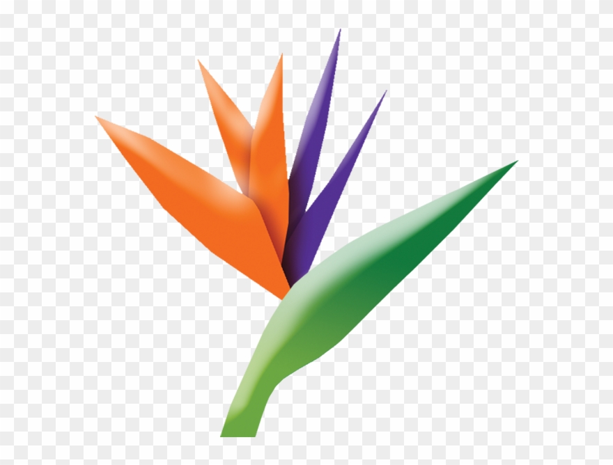 Tlp Logo - Bird Of Paradise Clipart