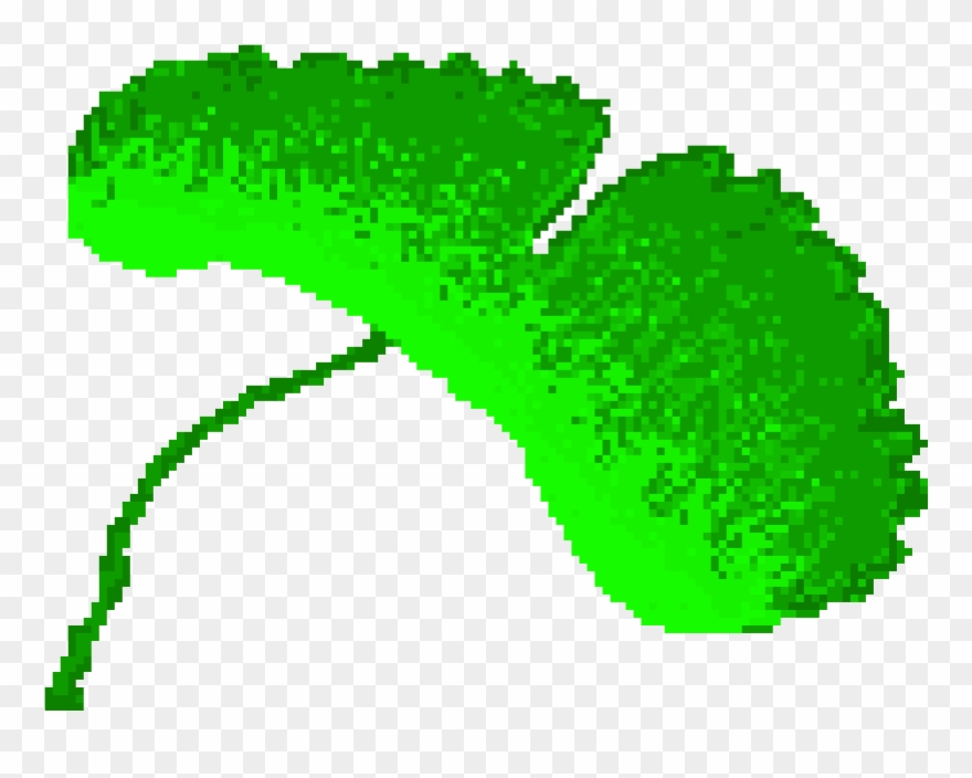Gingko Leaf Clipart