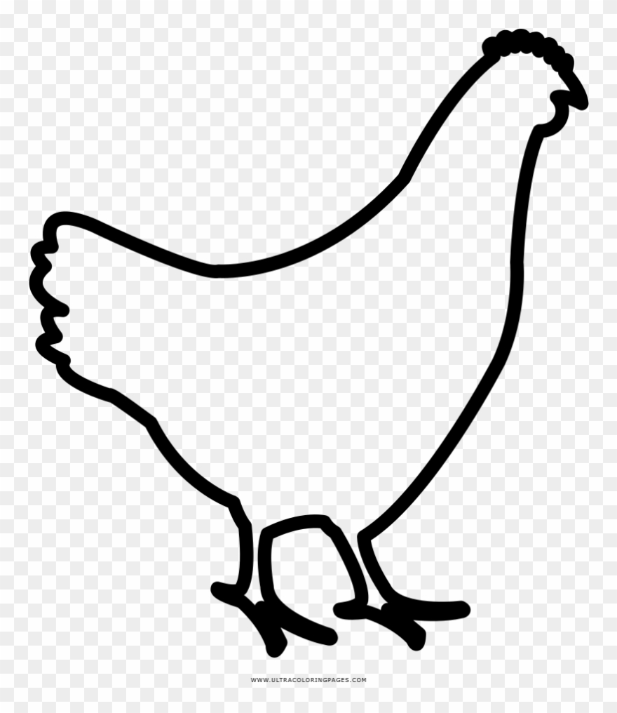 Gallina Página Para Colorear Clipart