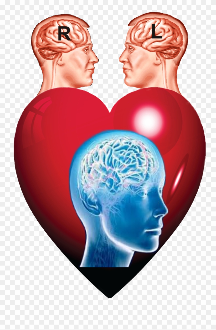 مقاومت مغز در برابر تغییر Clipart