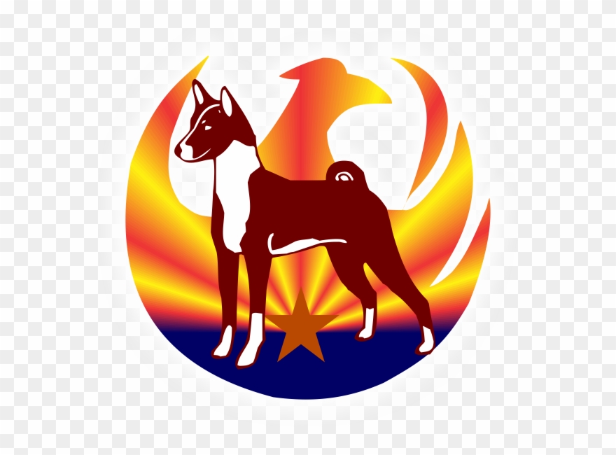 Copper State Basenji Club - Ancient Dog Breeds Clipart