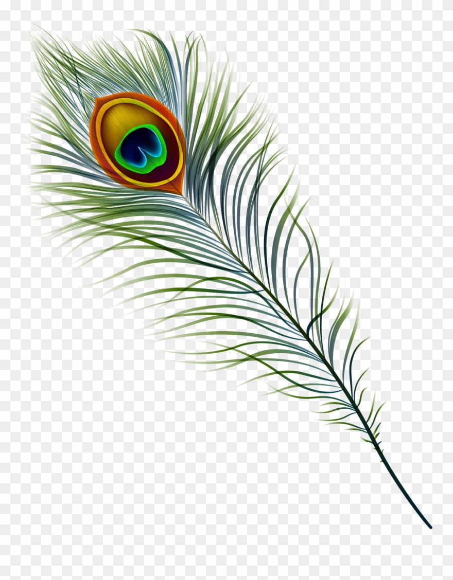 Antique Mall In Marietta,georgia - Peacock Feather Clipart - Png Download