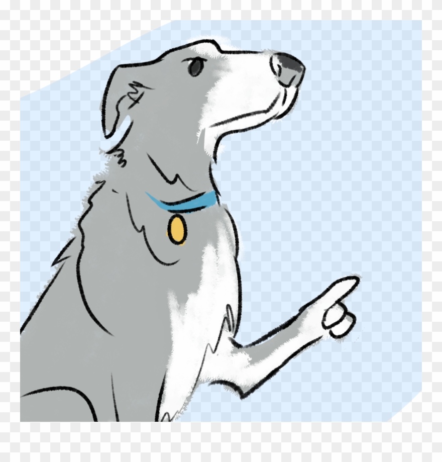 Team Bootcamp Gre - Dog Catches Something Clipart