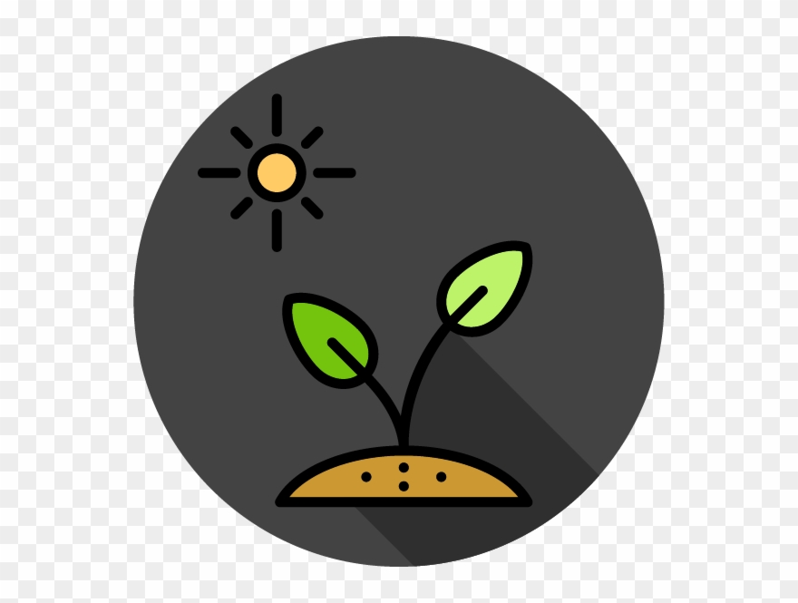 Arme Su Propio Huerto - Cartoon Clipart