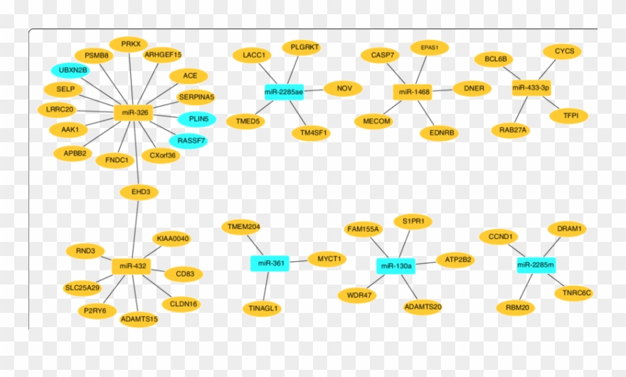 Integrated Mrnas And Mirnas That Were Differentially - Circle Clipart