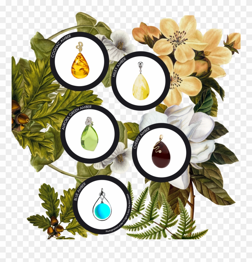 Green Amber Is Around One Million Years Old And Therefore Clipart