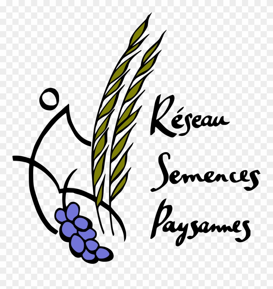 B 1 Q 0 P 0 - Réseau Semences Paysannes Clipart