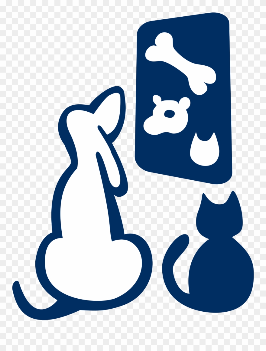 Cristina Giordano Oculistica Veterinaria Cristina Giordano Clipart