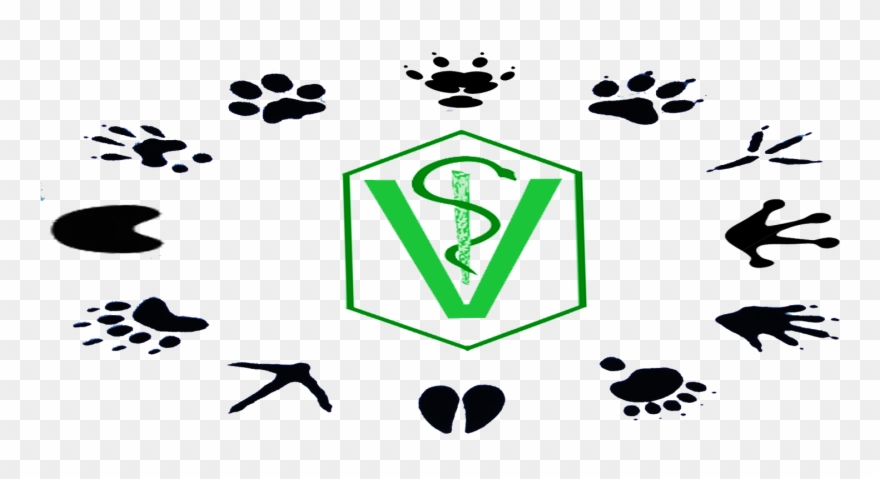 Venho Falar Sobre A Veterinária Clipart