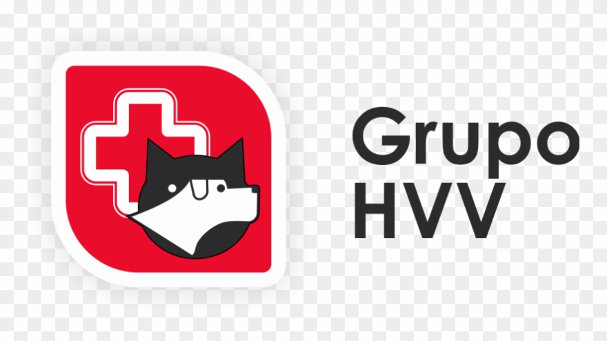 Hospital Veterinário De Viseu Clipart