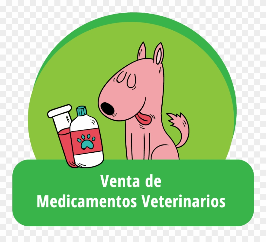Productos De Mascotas Extravagantes Que Su Amigo Peludo Clipart
