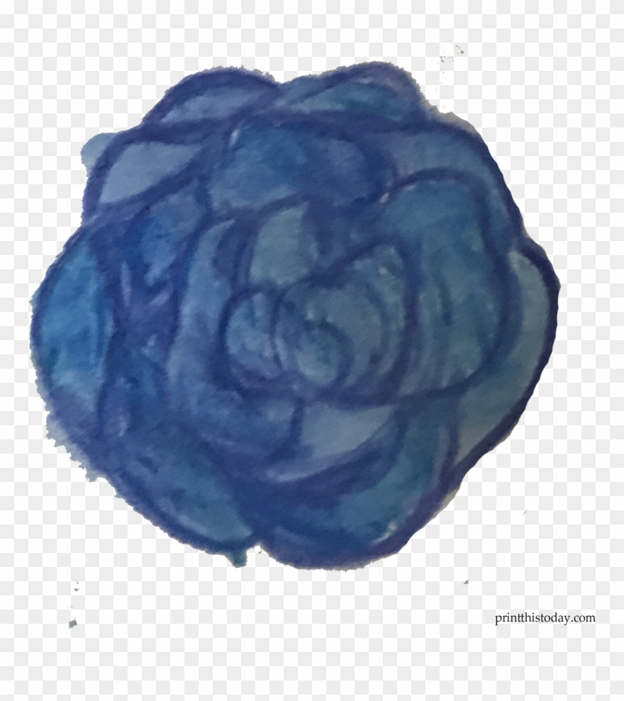 Blue Water Color Rose - Garden Roses Clipart