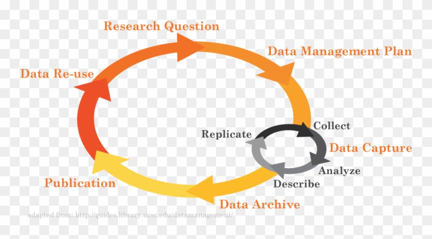 University Of Miami Libraries - Circle Clipart