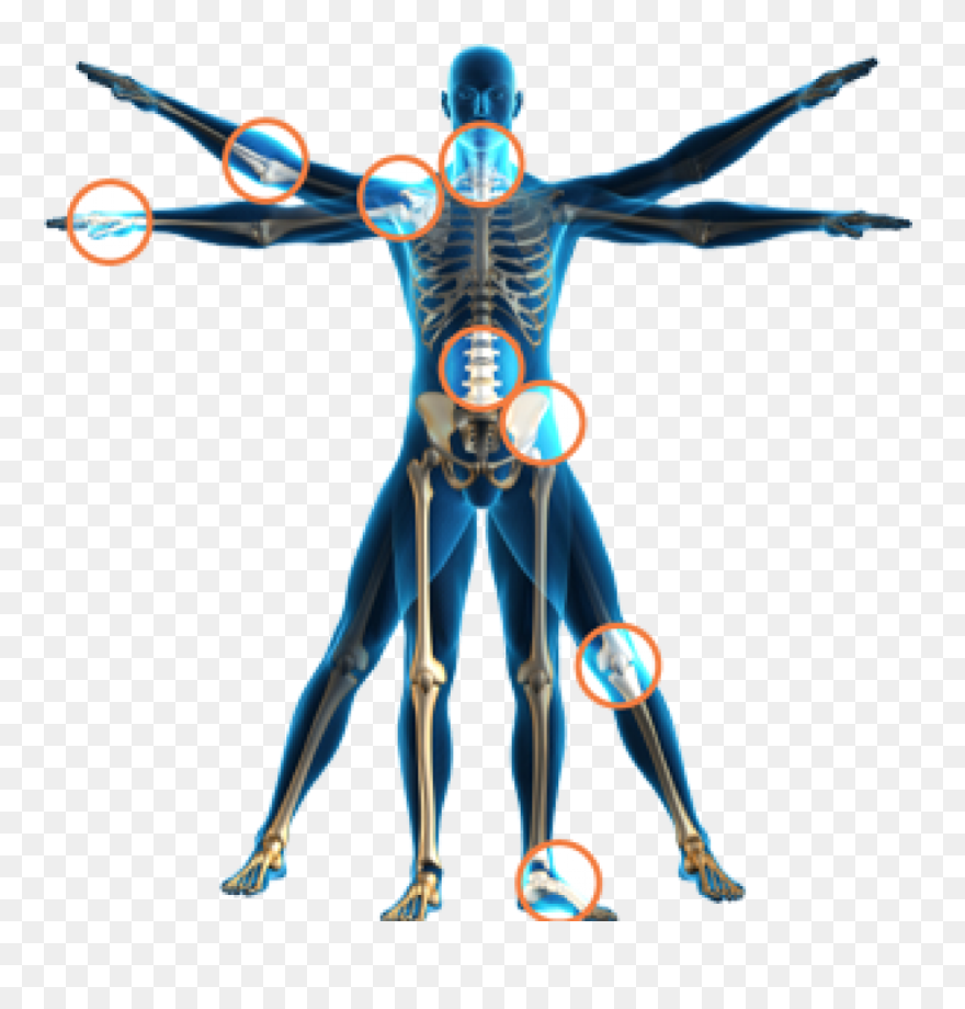 Traumatologia General - Human Body Transparent Png Clipart