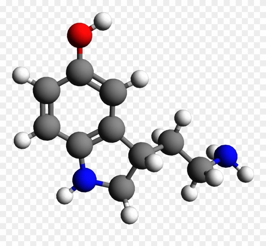 Mauro Me Explica Que Todo Ha Cambiado Mucho En Él, - Structure Clipart