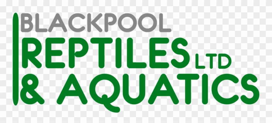 Blackpool Reptiles & Aquatics Blackpool Reptiles & - Graphic Design Clipart