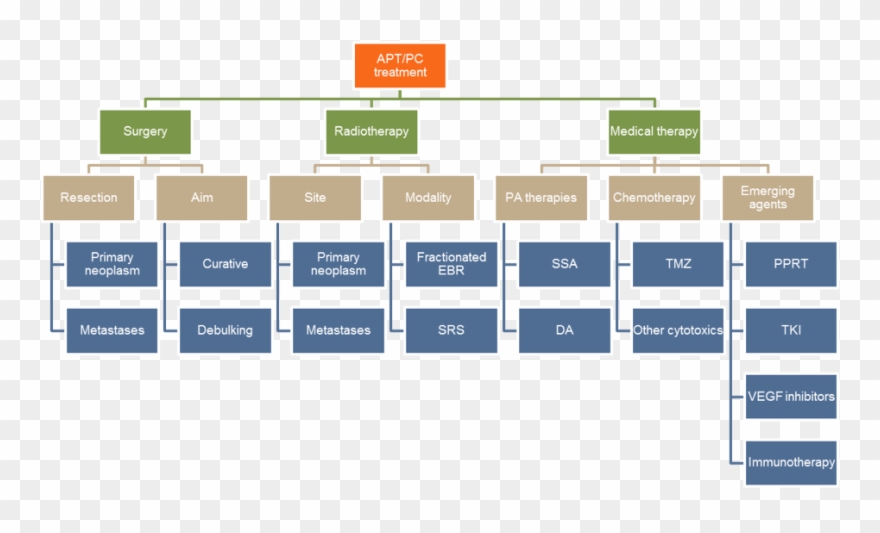 Treatment Options In Apt/pc - Type Of Braking System Clipart