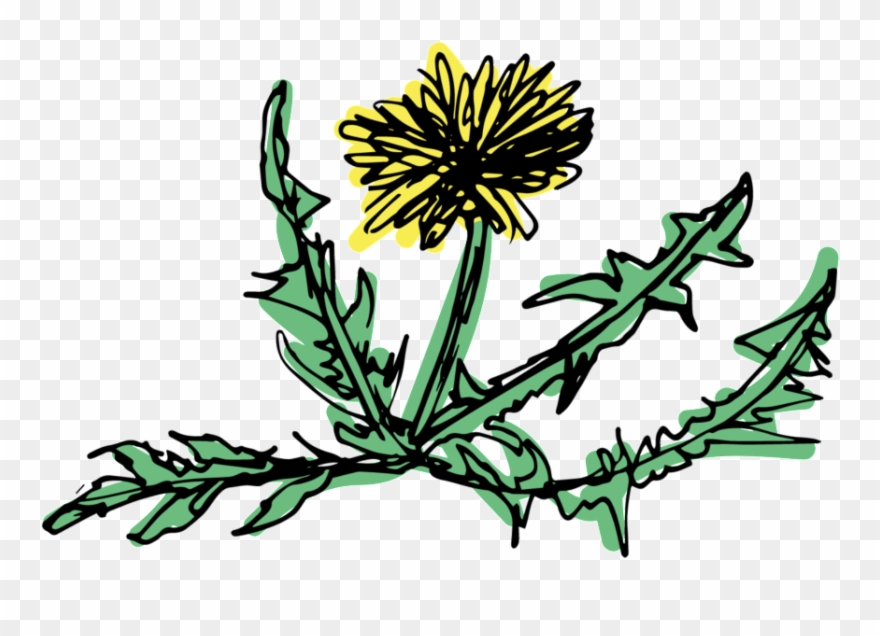 Vector Graphics Clipart