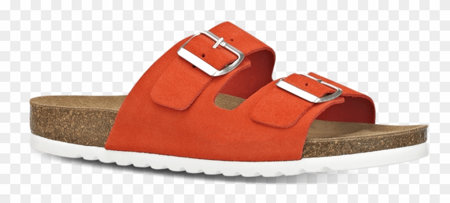 Slide Sandal Clipart