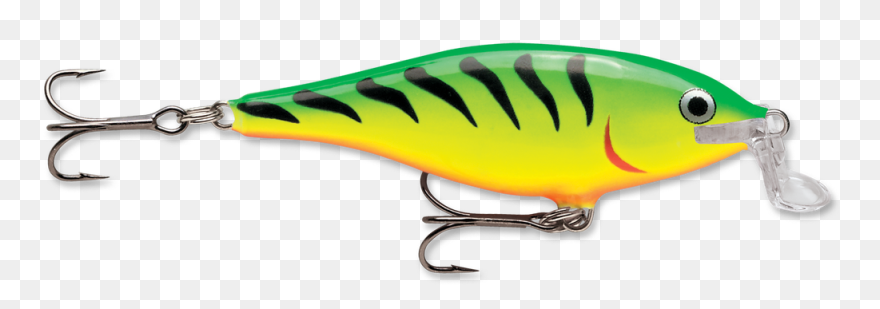 Shallow Shad Rap Ssr05ft - Rapala Fire Tiger Clipart