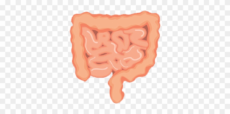 Click To Enlarge - Handbag Clipart