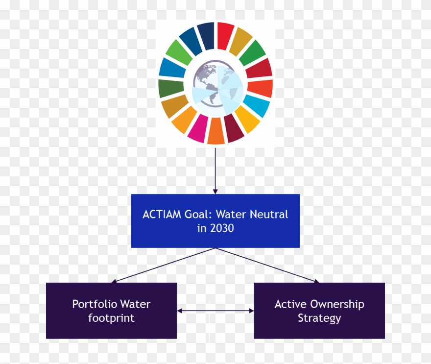 Casestudy Fig1 Actiam - Global Goals Clipart