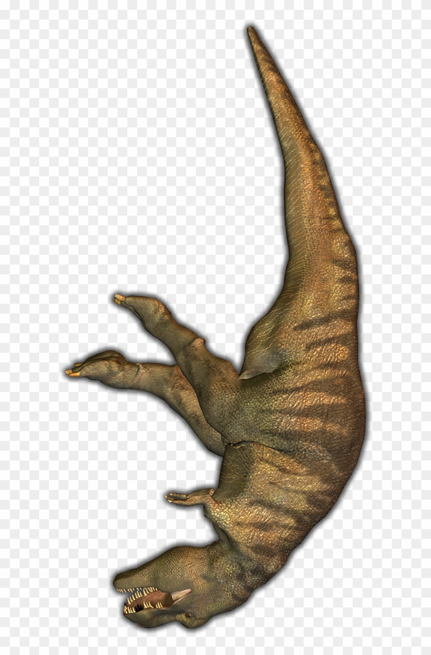 T-rex Kpl - Top Down T Rex Clipart