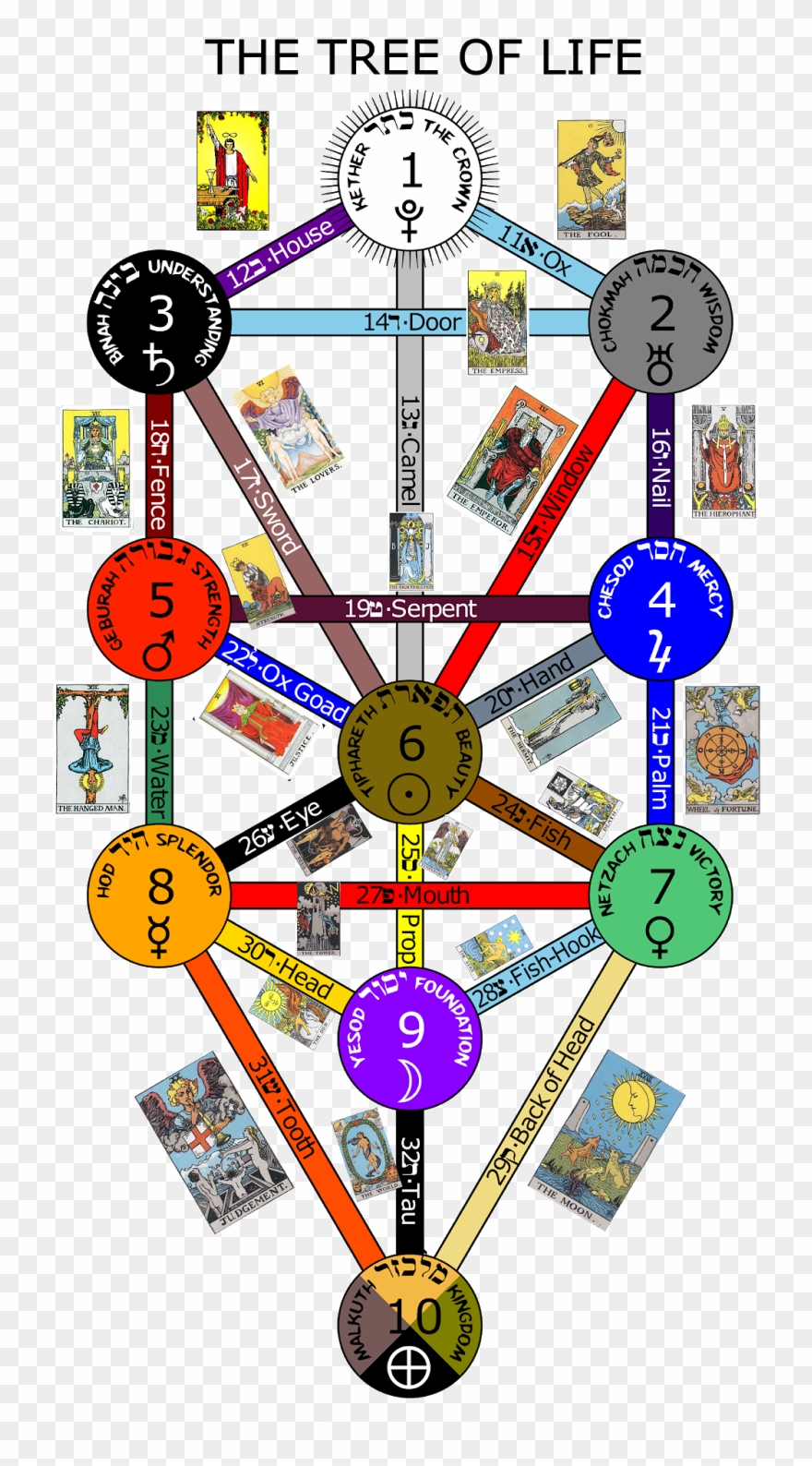 I Am A Fool, Tom, I've No Doubt About That - Tarot Cards Tree Of Life Clipart