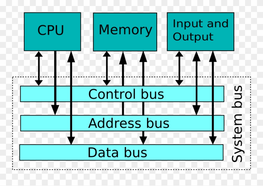Type Of Bus In Computer Clipart